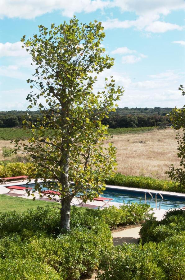 Village Castigno - Wine Hotel & Resort Assignan Exteriér fotografie