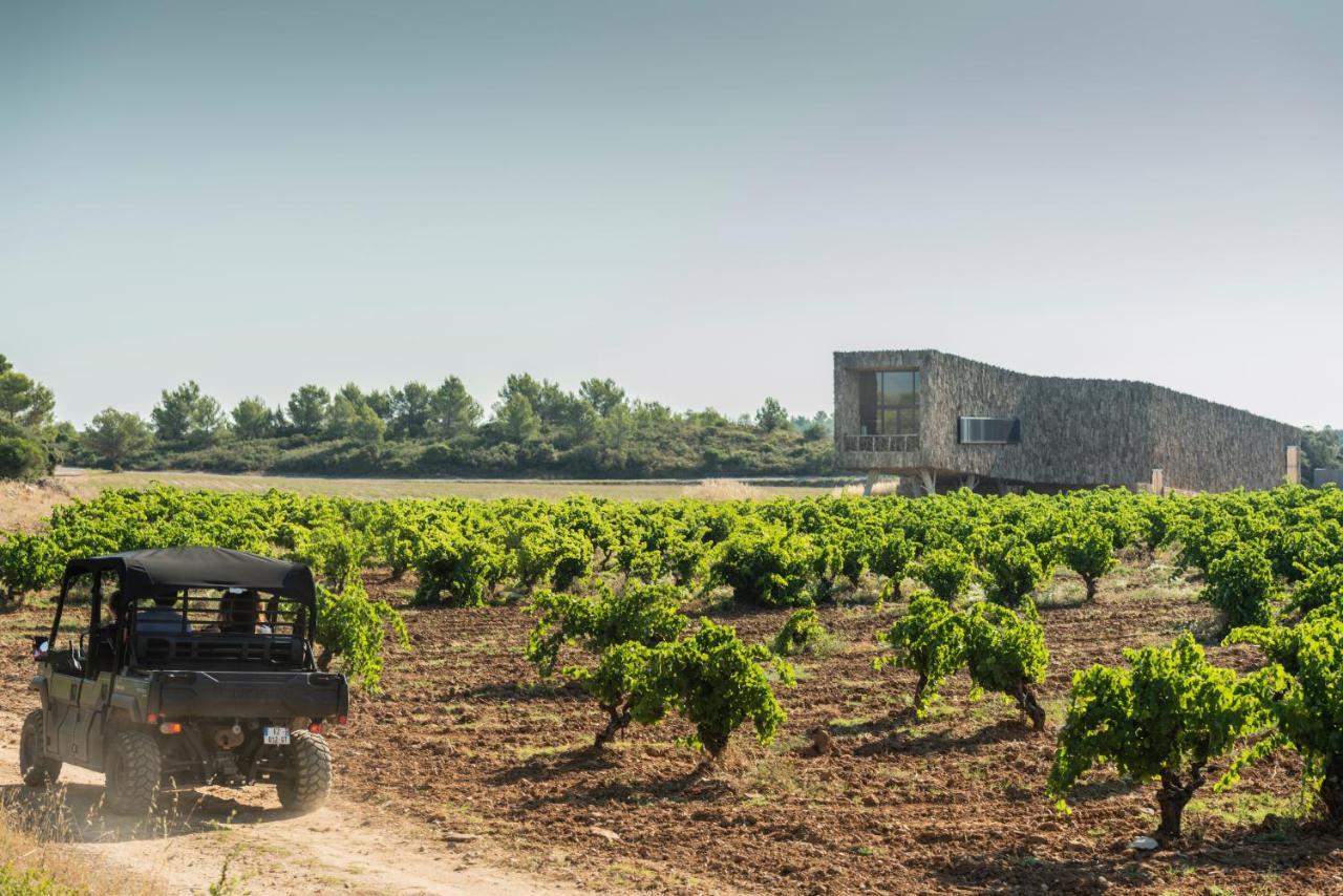 Village Castigno - Wine Hotel & Resort Assignan Exteriér fotografie
